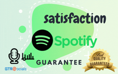 buy Spotify  Followers